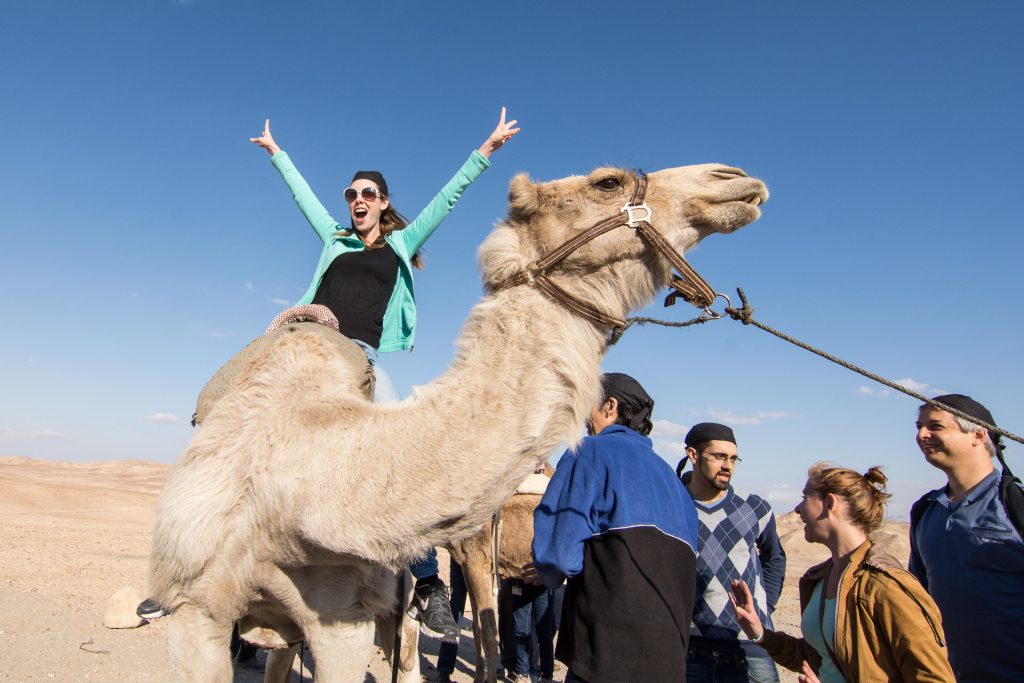 Camel Riding in Israel (Negev Camel Ranch) - Kfar Hanokdim